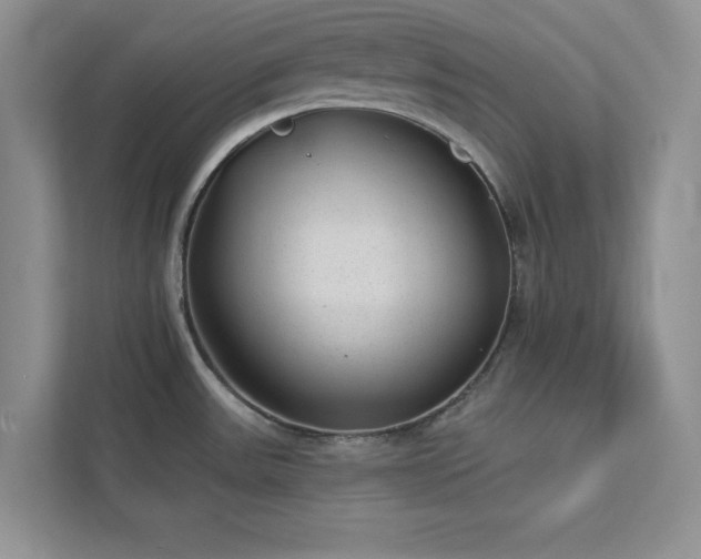 X0000112981531200908271133