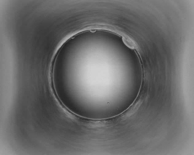 X0000112981533200908271133