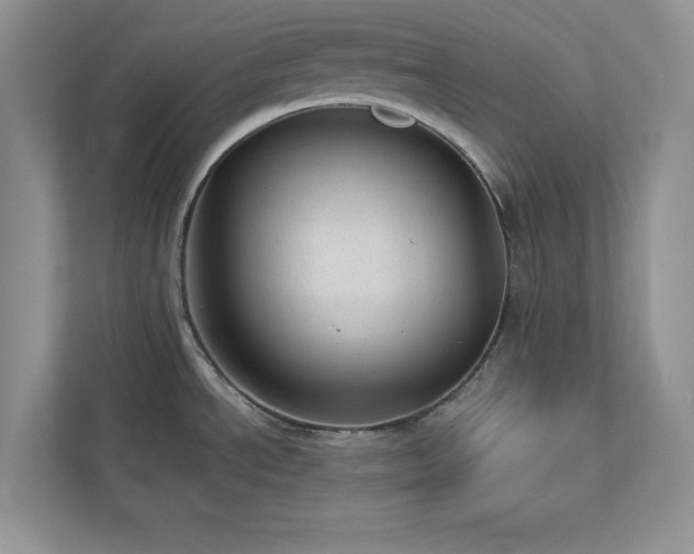 X0000112981534200908271133