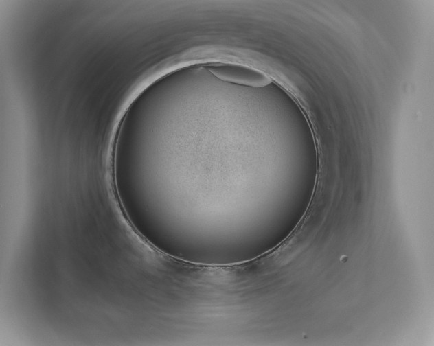 X0000112981536200908271133