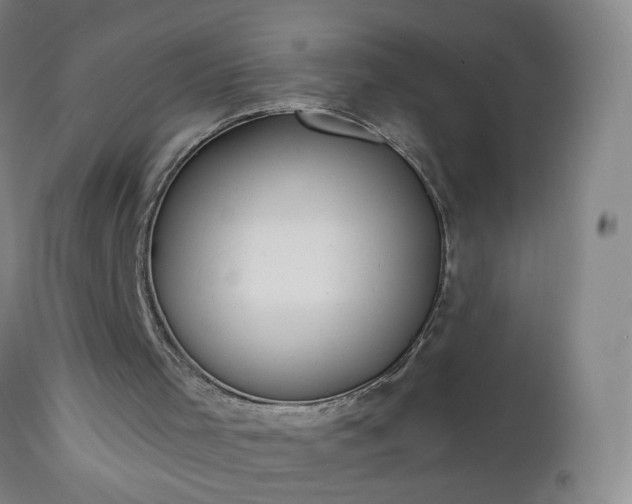 X0000112980001200909031120