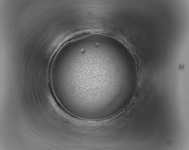 X0000112980002200909031120