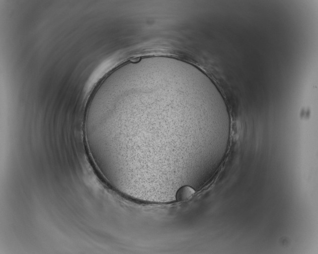 X0000112980004200909031120