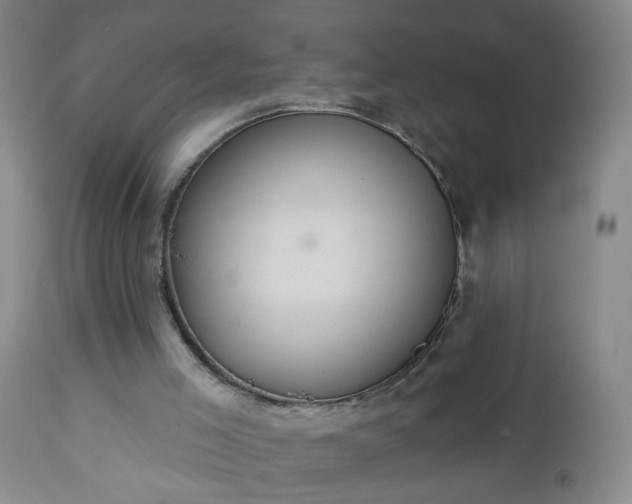 X0000112980005200909031120