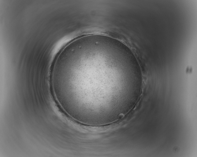 X0000112980006200909031120