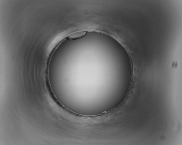 X0000112980007200909031120