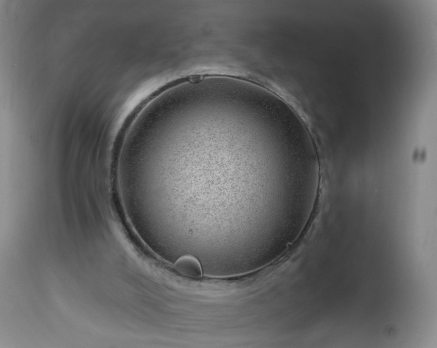 X0000112980008200909031120