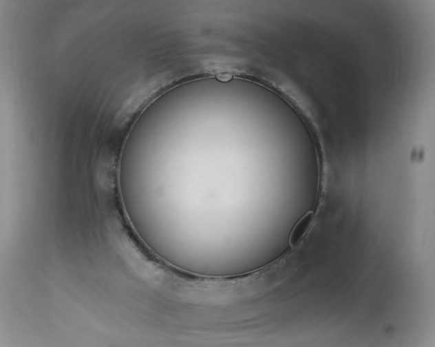 X0000112980009200909031120