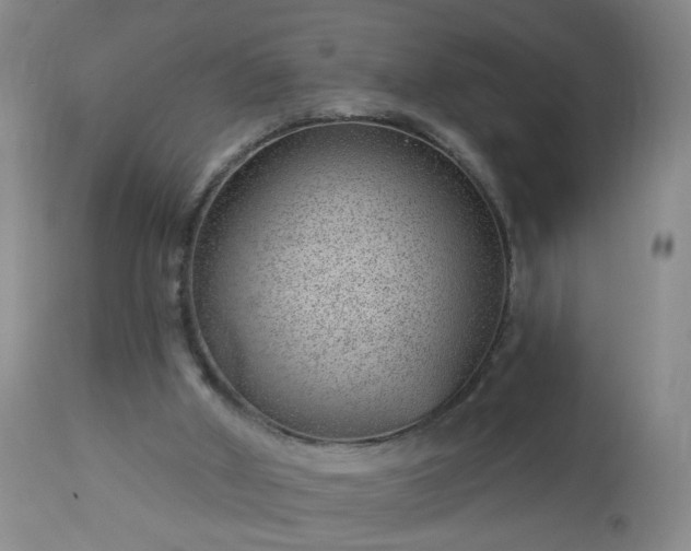 X0000112980010200909031120