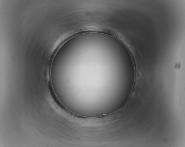 X0000112980011200909031120