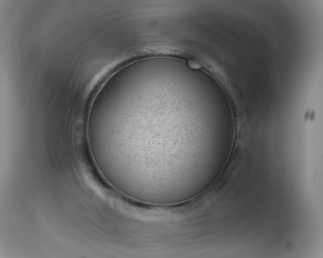 X0000112980012200909031120