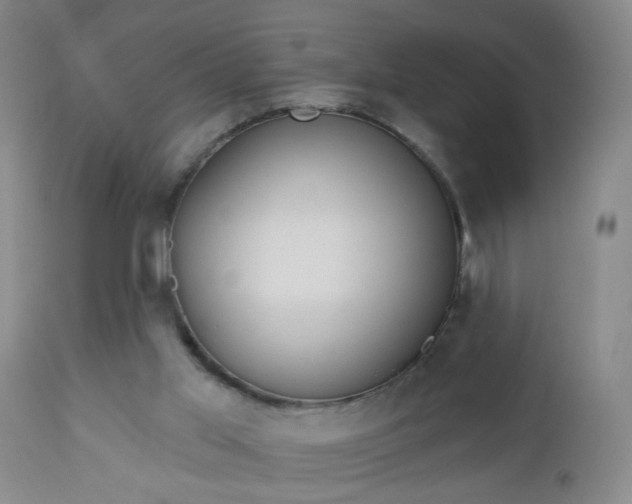 X0000112980013200909031120