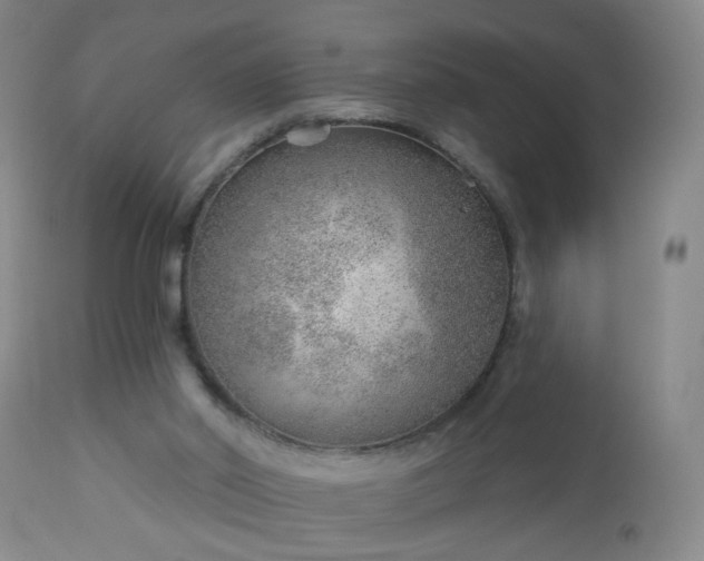 X0000112980014200909031120