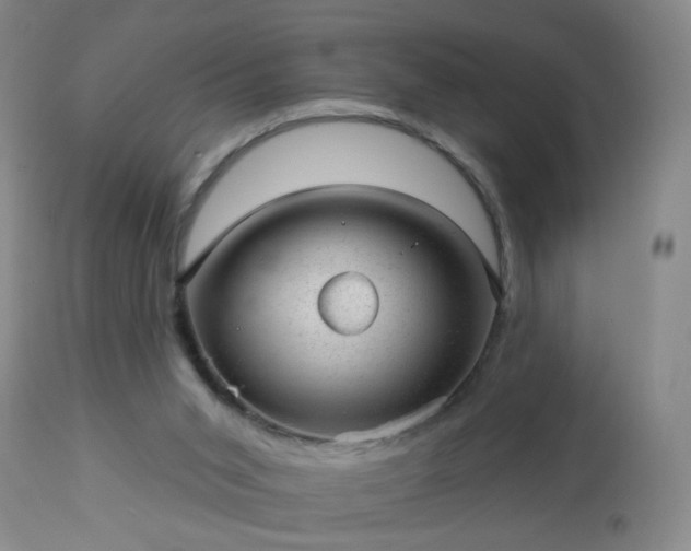 X0000112980015200909031120