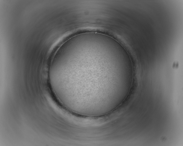 X0000112980016200909031120