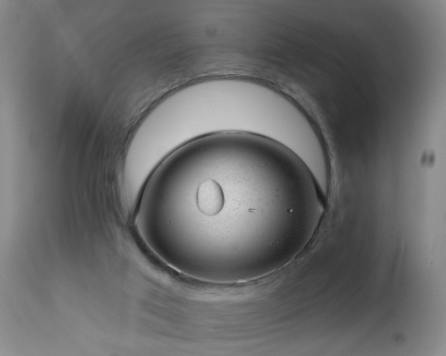 X0000112980017200909031120