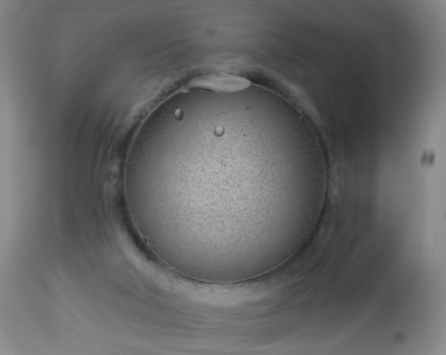 X0000112980018200909031120