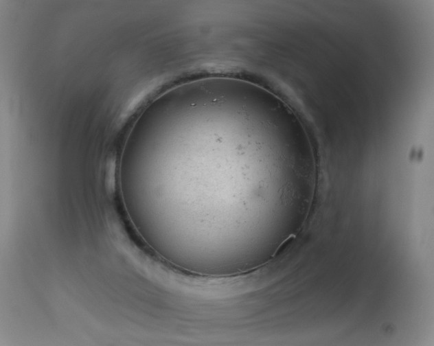 X0000112980019200909031120