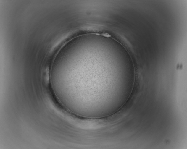 X0000112980020200909031120