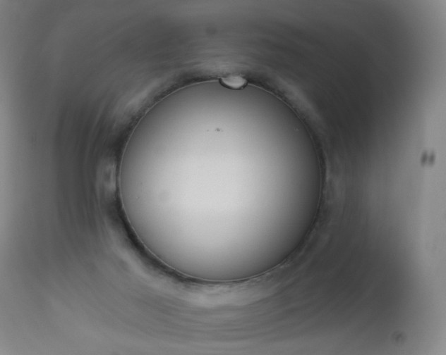 X0000112980021200909031120