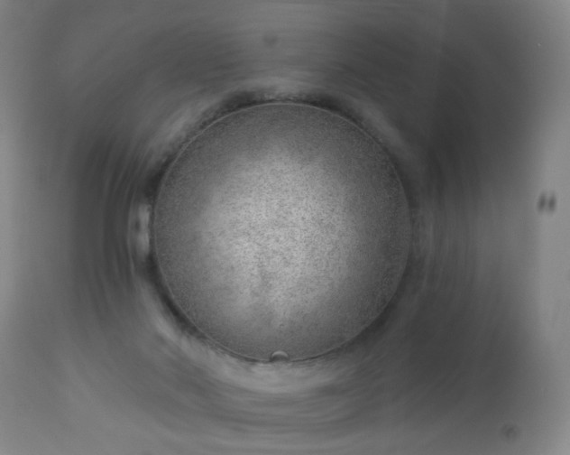 X0000112980022200909031120