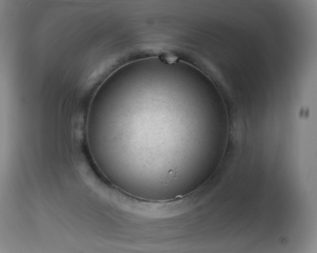 X0000112980023200909031120