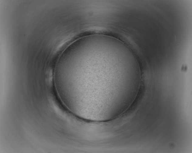 X0000112980024200909031120