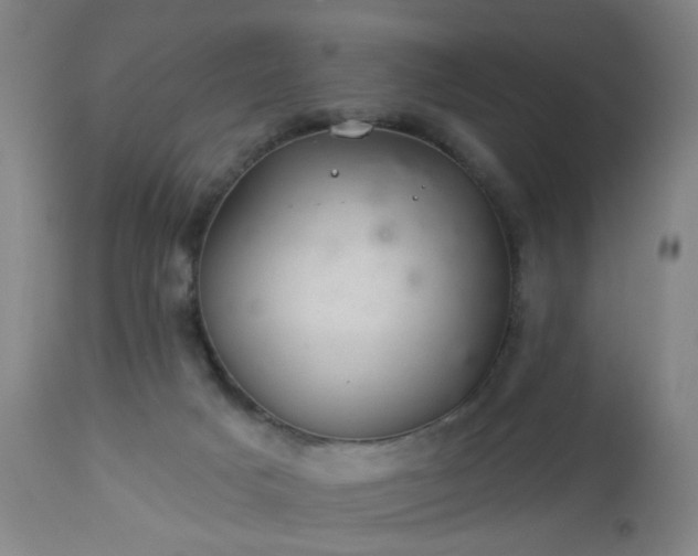 X0000112980025200909031120