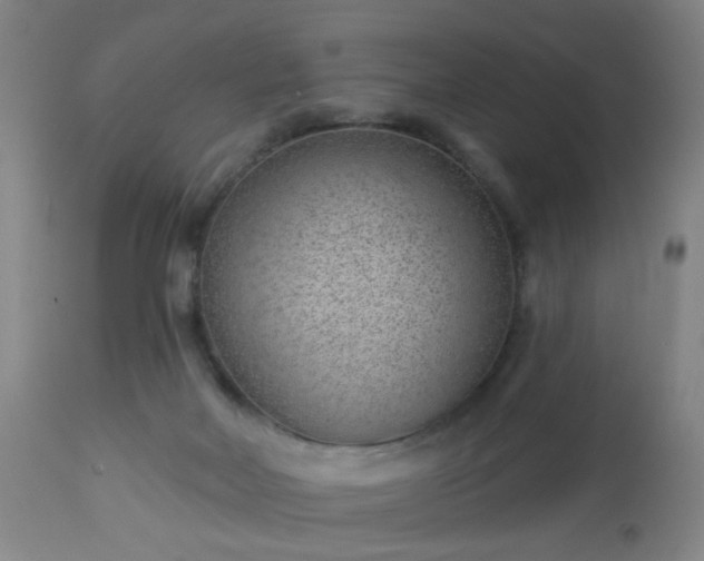 X0000112980026200909031119