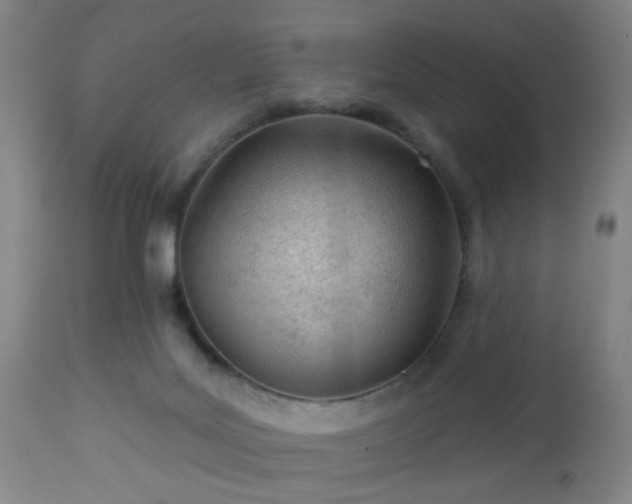 X0000112980027200909031119