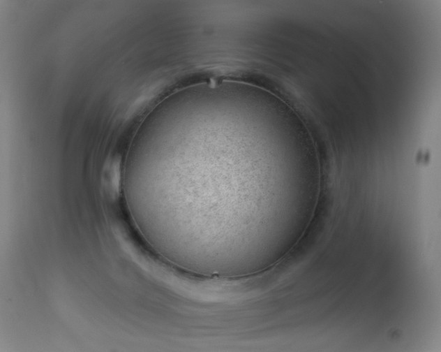 X0000112980028200909031119