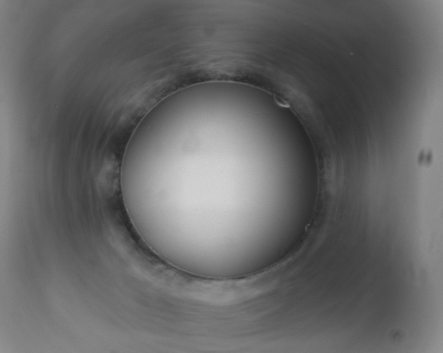 X0000112980029200909031119