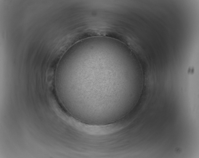 X0000112980030200909031119