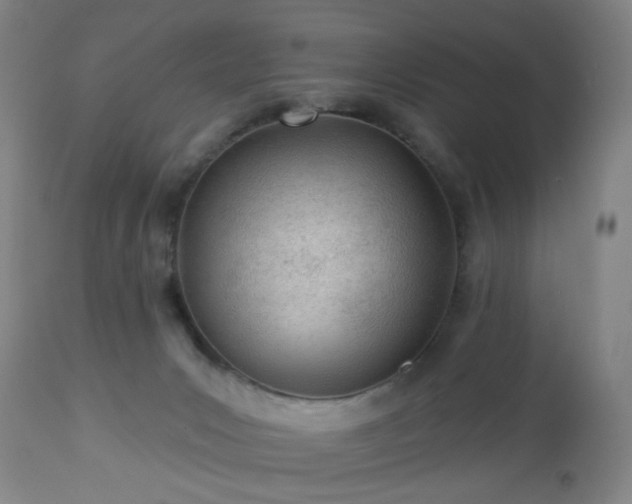 X0000112980031200909031119