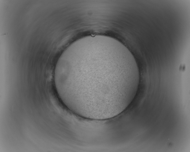 X0000112980032200909031119