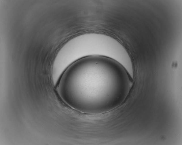 X0000112980033200909031119