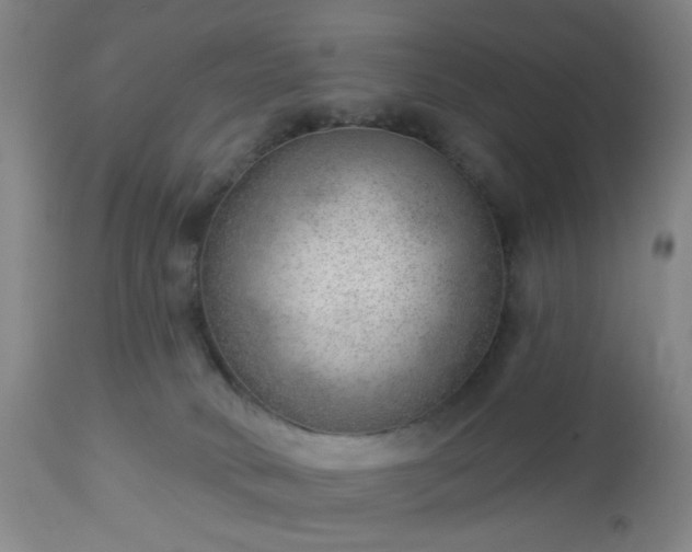 X0000112980034200909031119