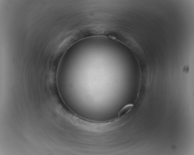 X0000112980035200909031119