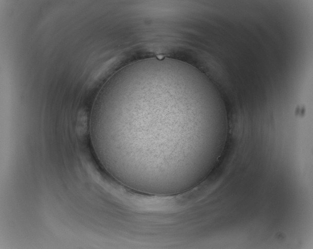 X0000112980036200909031119