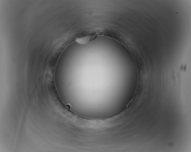 X0000112980037200909031119