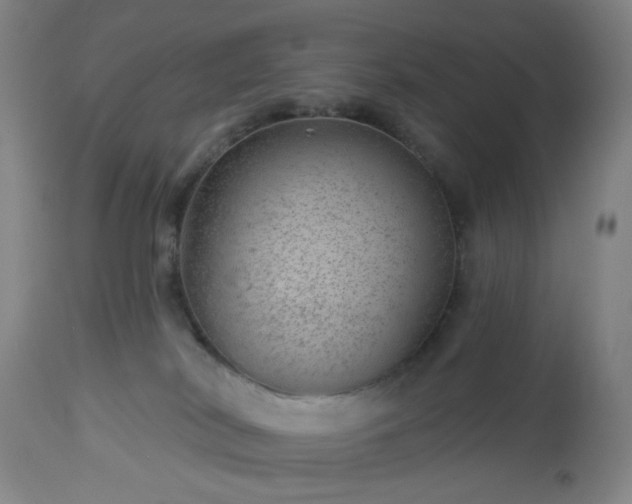 X0000112980038200909031119