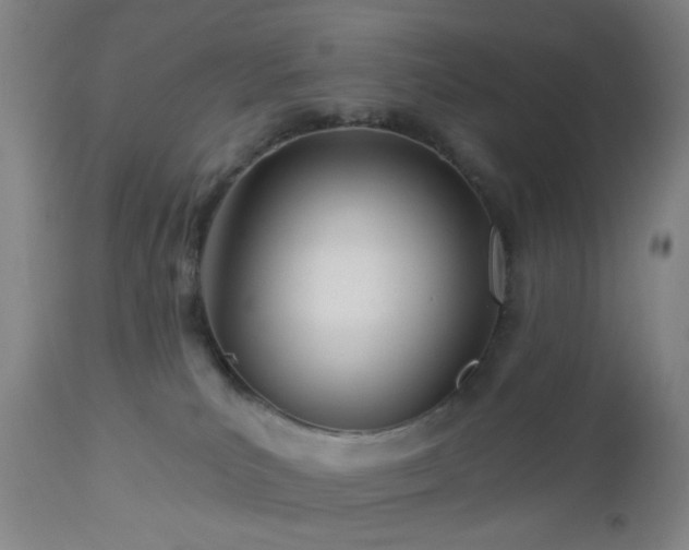 X0000112980039200909031119