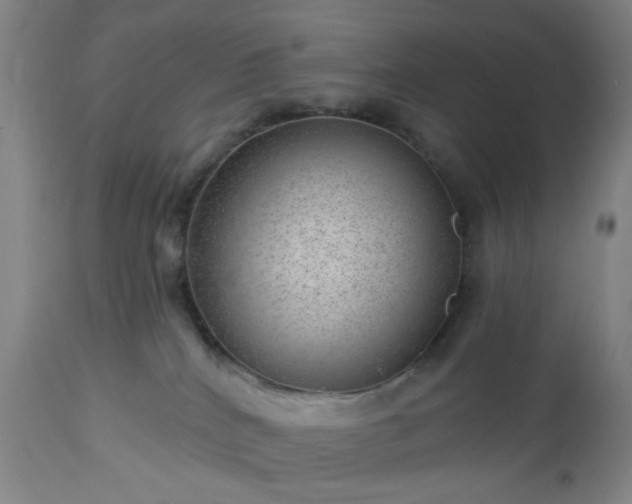 X0000112980040200909031119