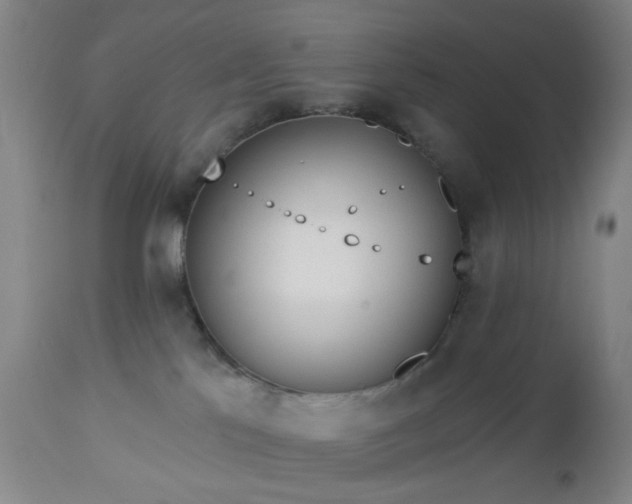 X0000112980041200909031119