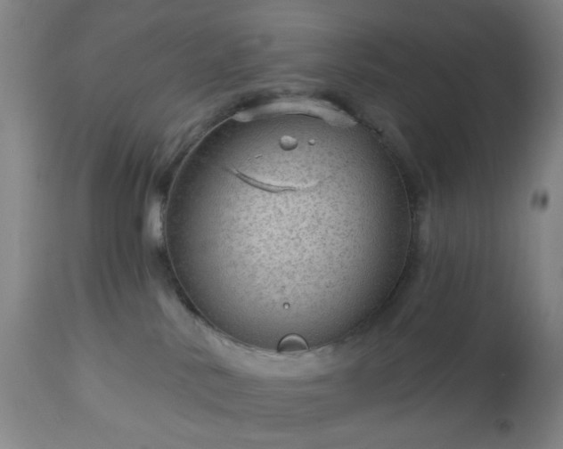 X0000112980042200909031119