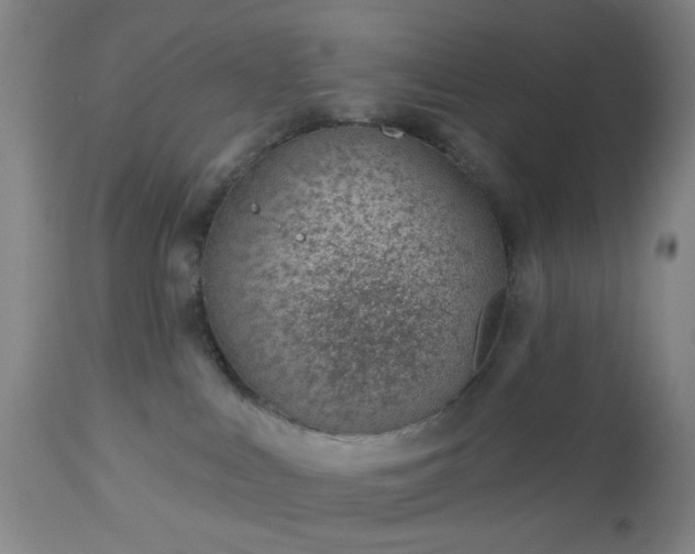 X0000112980043200909031119