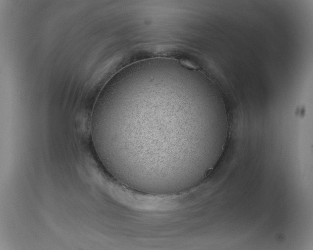 X0000112980044200909031119