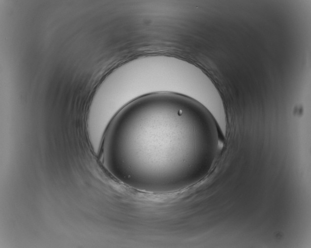 X0000112980045200909031119