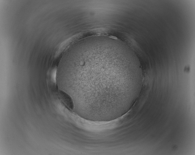 X0000112980047200909031119