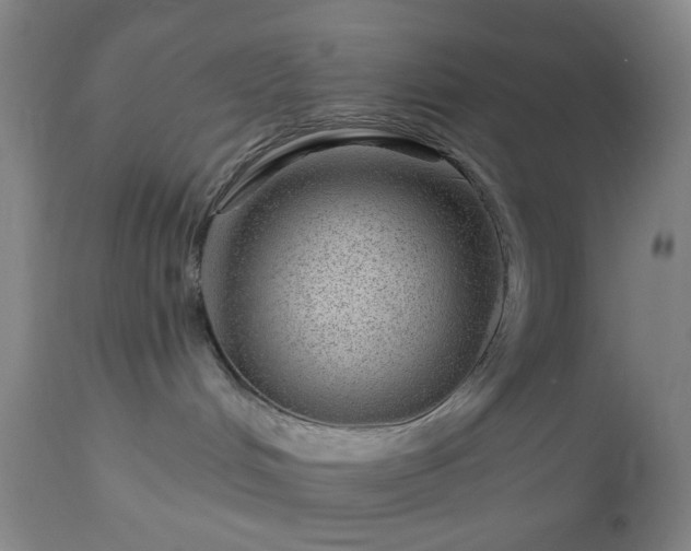 X0000112980048200909031119